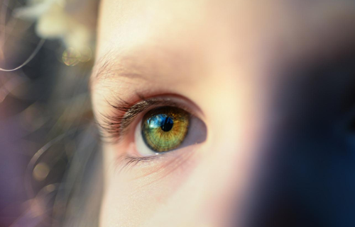 yeux